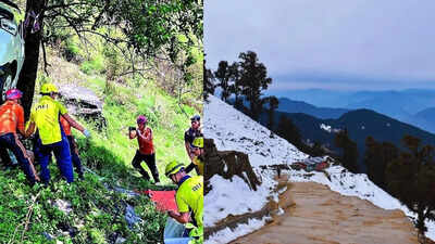 2 Lucknow brothers trekking to Tungnath killed by lightning | Dehradun News
